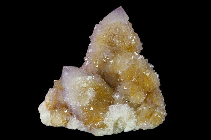 Cactus Quartz (Amethyst) Crystal Cluster - South Africa #137763